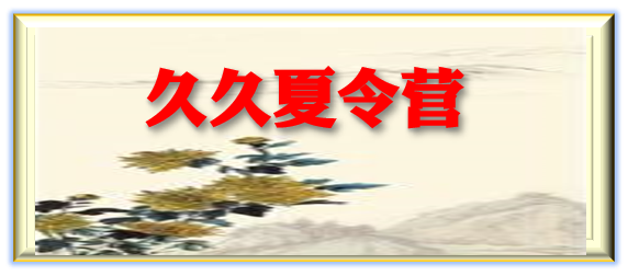 ROSEMA.ESE  返利