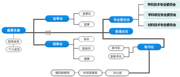 组织结构图
